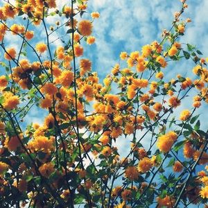 Meet your Posher, Valentina